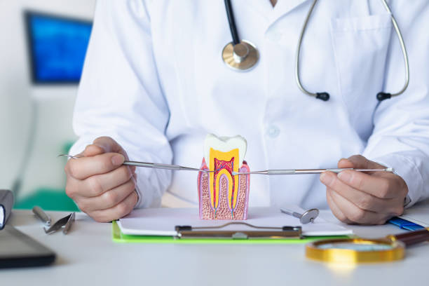 Emergency Gum Pain Relief in MI